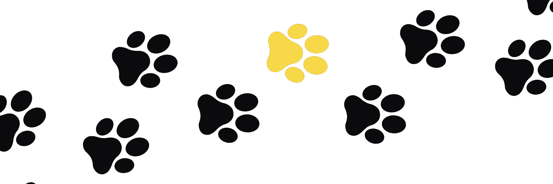 Stylised paw prints with 5app accent colour in the middle - depicting personalised pathways